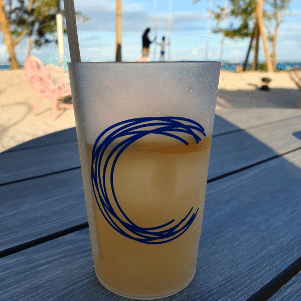 Sunday 26th June - Day Package - 1 Adult + 1 Child